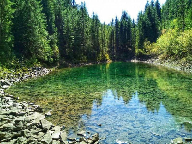 Кращі місця в Україні, які потрібно відвідати навесні: Дземброня, Бучак і не тільки